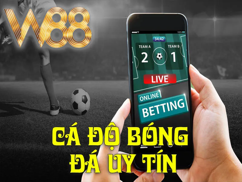 Cá Độ Bóng Đá Uy Tín
