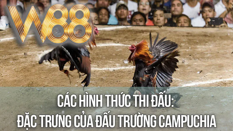Các Hình Thức Thi Đấu: Đặc Trưng Của Đấu Trường Campuchia Các Hình Thức Thi Đấu: Đặc Trưng Của Đấu Trường Campuchia
