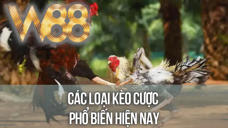 Các Loại Kèo Cược Phổ Biến Các Loại Kèo Cược Phổ Biến