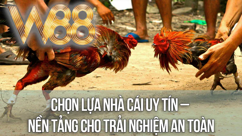 Chọn Lựa Nhà Cái Uy Tín – Nền Tảng Cho Trải Nghiệm An Toàn Chọn Lựa Nhà Cái Uy Tín – Nền Tảng Cho Trải Nghiệm An Toàn