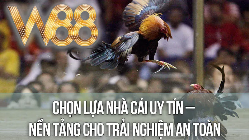 Chọn Lựa Nhà Cái Uy Tín – Nền Tảng Cho Trải Nghiệm An Toàn Chọn Lựa Nhà Cái Uy Tín – Nền Tảng Cho Trải Nghiệm An Toàn