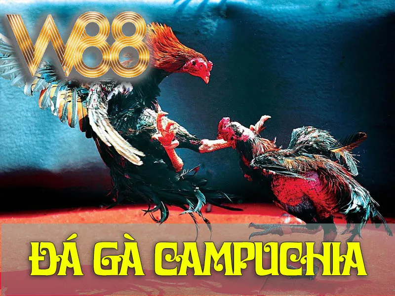Đá Gà Campuchia