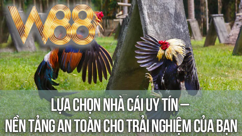 Lựa Chọn Nhà Cái Uy Tín – Nền Tảng An Toàn Cho Trải Nghiệm Của Bạn Lựa Chọn Nhà Cái Uy Tín – Nền Tảng An Toàn Cho Trải Nghiệm Của Bạn