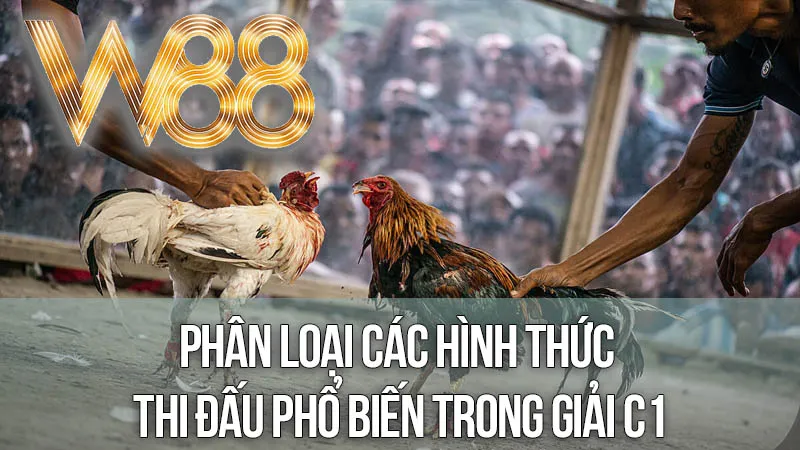 Phân Loại Các Hình Thức Thi Đấu Phổ Biến Trong Giải C1 Phân Loại Các Hình Thức Thi Đấu Phổ Biến Trong Giải C1