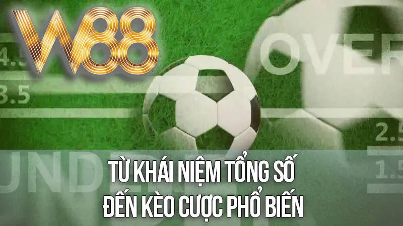 Từ Khái Niệm Tổng Số Đến Kèo Cược Phổ Biến Từ Khái Niệm Tổng Số Đến Kèo Cược Phổ Biến