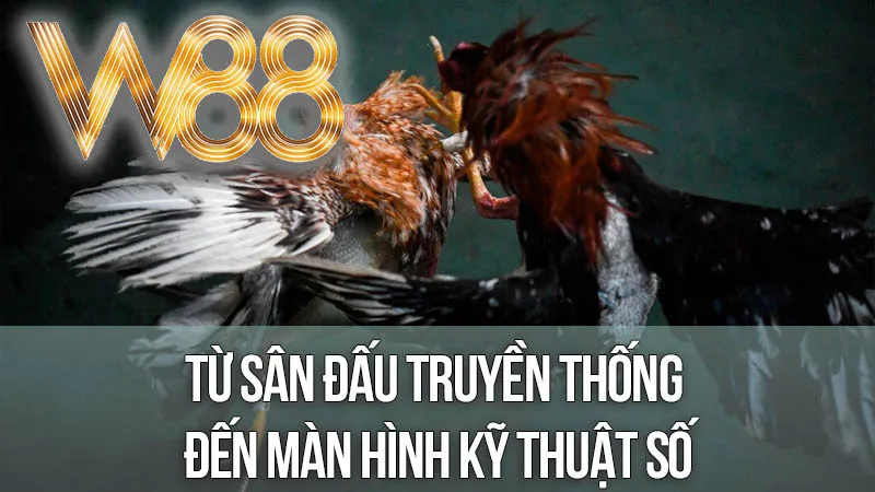 Từ Sân Đấu Truyền Thống Đến Màn Hình Kỹ Thuật Số Từ Sân Đấu Truyền Thống Đến Màn Hình Kỹ Thuật Số