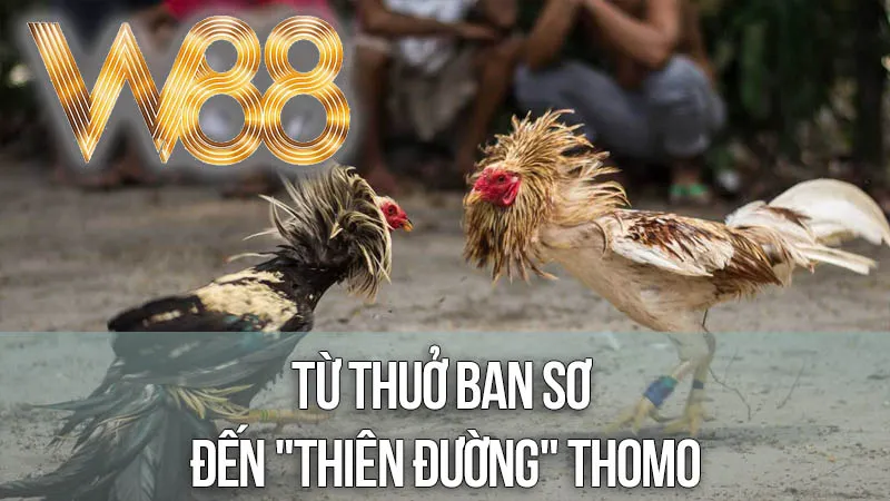 Từ Thuở Ban Sơ Đến "Thiên Đường" Thomo Từ Thuở Ban Sơ Đến "Thiên Đường" Thomo