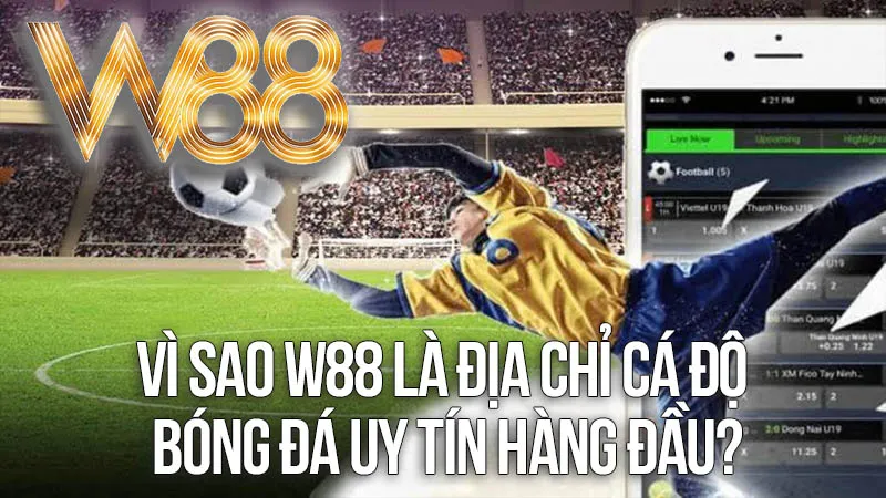 Vì Sao W88 Là Địa Chỉ Cá Độ Bóng Đá Uy Tín Hàng Đầu? Vì Sao W88 Là Địa Chỉ Cá Độ Bóng Đá Uy Tín Hàng Đầu?