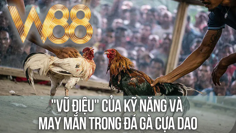 Giải Mã Luật Chơi: "Vũ Điệu" Của Kỹ Năng và May Mắn Trong Đá Gà Cựa Dao Giải Mã Luật Chơi: "Vũ Điệu" Của Kỹ Năng và May Mắn Trong Đá Gà Cựa Dao