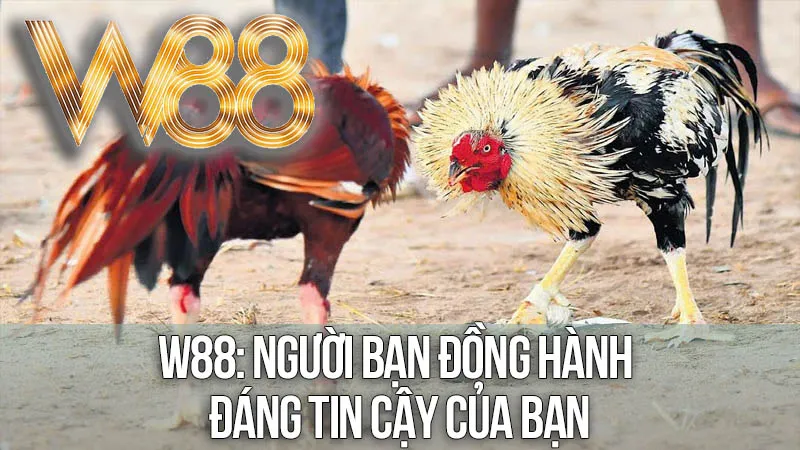 W88: Người Bạn Đồng Hành Đáng Tin Cậy Của Bạn W88: Người Bạn Đồng Hành Đáng Tin Cậy Của Bạn