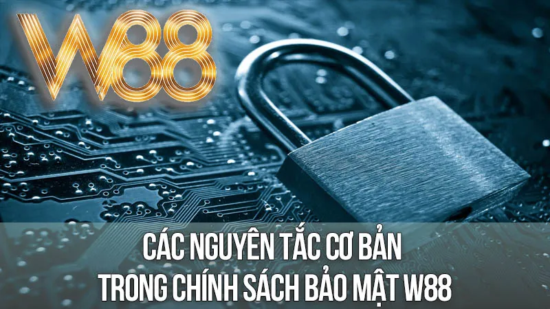 Các Nguyên Tắc Cơ Bản Trong Chính Sách Bảo Mật W88 Các Nguyên Tắc Cơ Bản Trong Chính Sách Bảo Mật W88