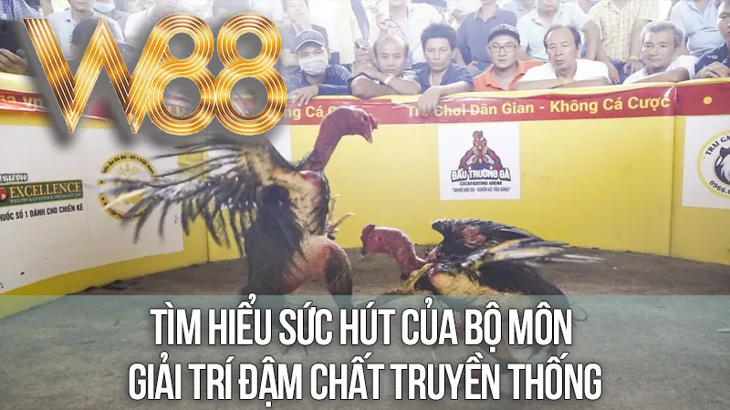 Tìm Hiểu Sức Hút Của Bộ Môn Giải Trí Đậm Chất Truyền Thống